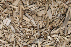 biomass boilers Shripney