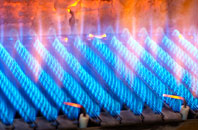 Shripney gas fired boilers